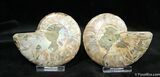 Inch Polished Pair From Madagascar #1449-2